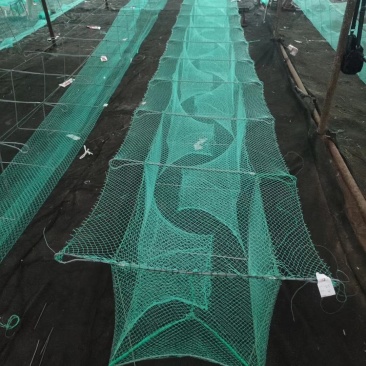 虾笼渔网自动折叠南美白对虾斑节虾河虾捕大留小加厚弯翅有结
