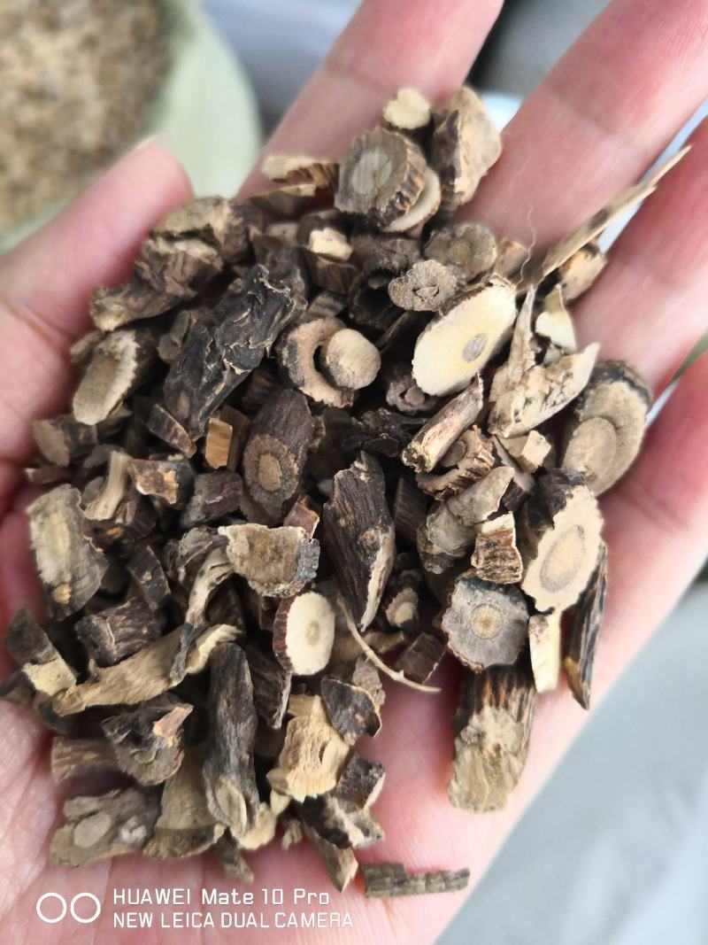 山豆根自然生长品质好量大从优经营各种中药材