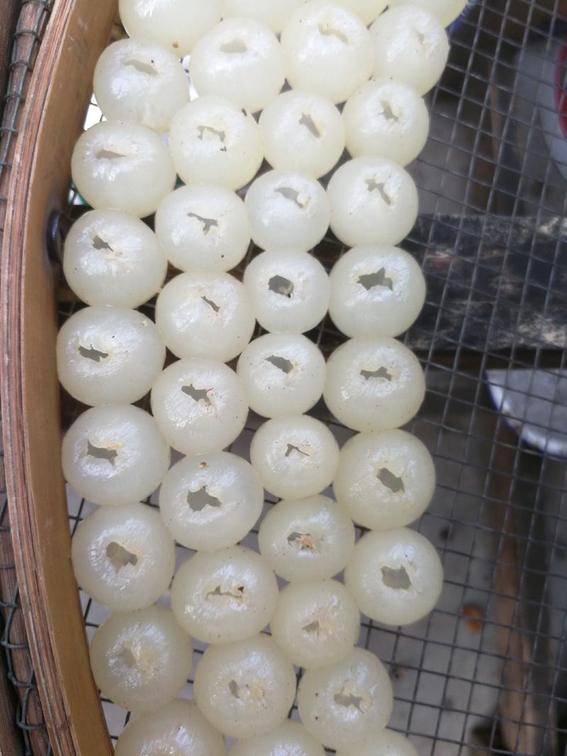 广西石硖桂圆肉清甜可口肉质Q弹产地货源