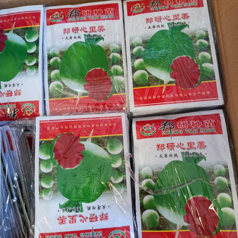 【精】郑研心里美萝卜种子，红心萝卜种子，品质好