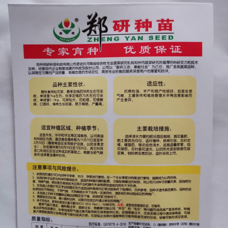 【精】郑研松宝50菜花种子，花球大，散花，品质好，早熟
