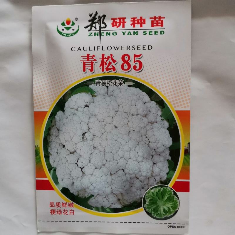 【精】郑研松宝50菜花种子，花球大，散花，品质好，早熟