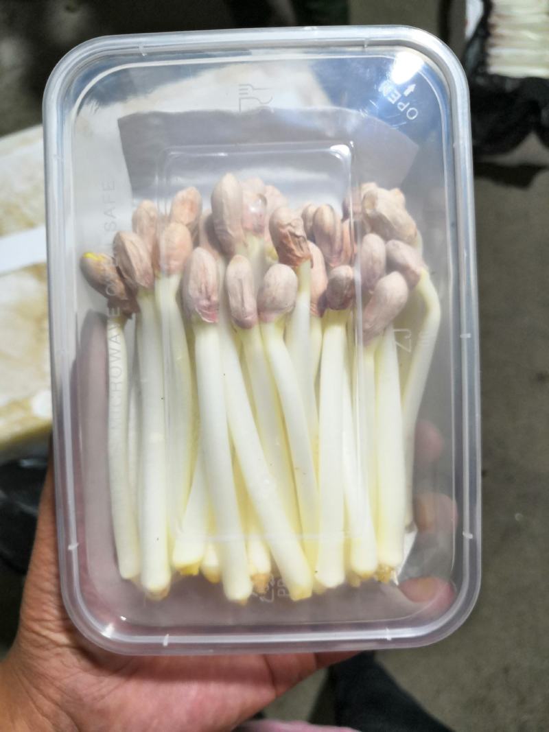 海玉花生芽什么包装都有