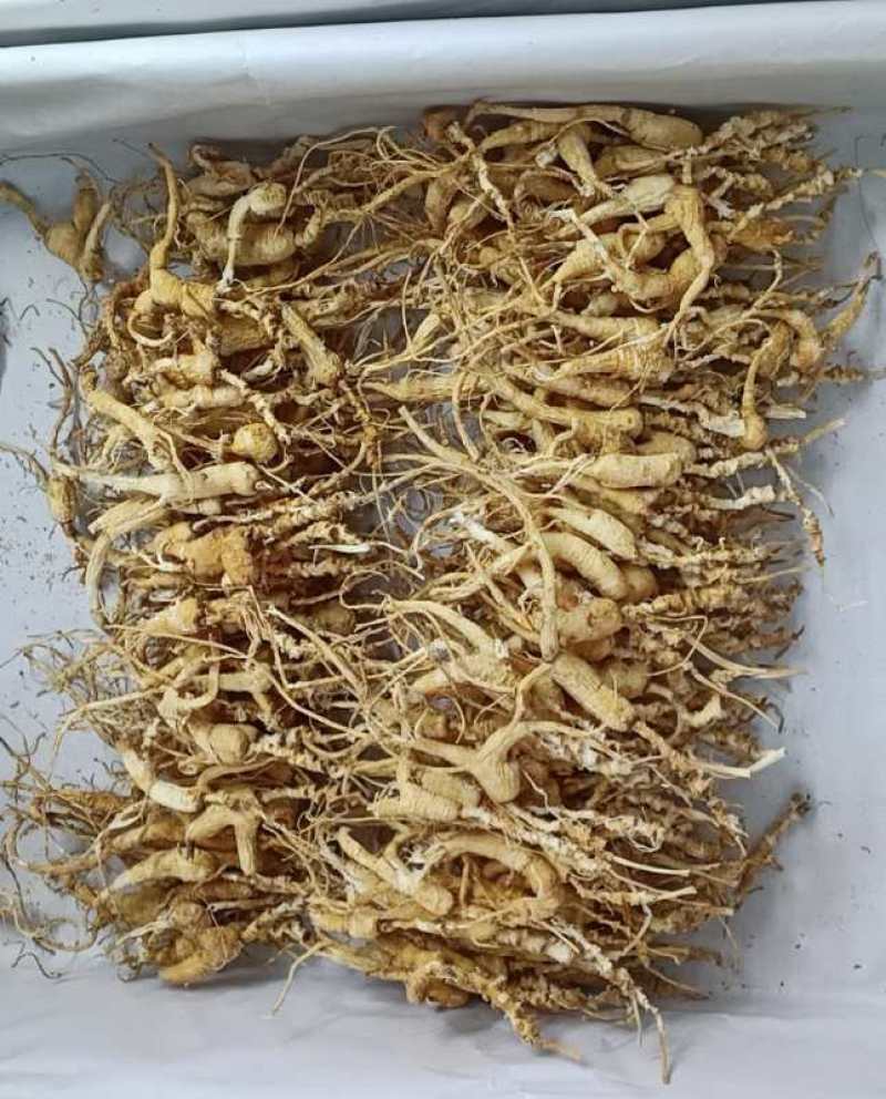 二十多年林下参籽货残参足干，性价比高，自用推荐