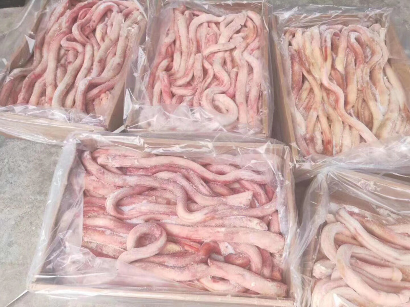 牛副产品分层干冻牛鞭