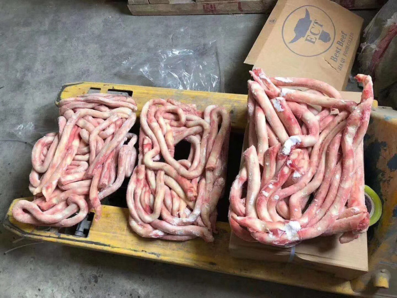 牛副产品分层干冻牛鞭