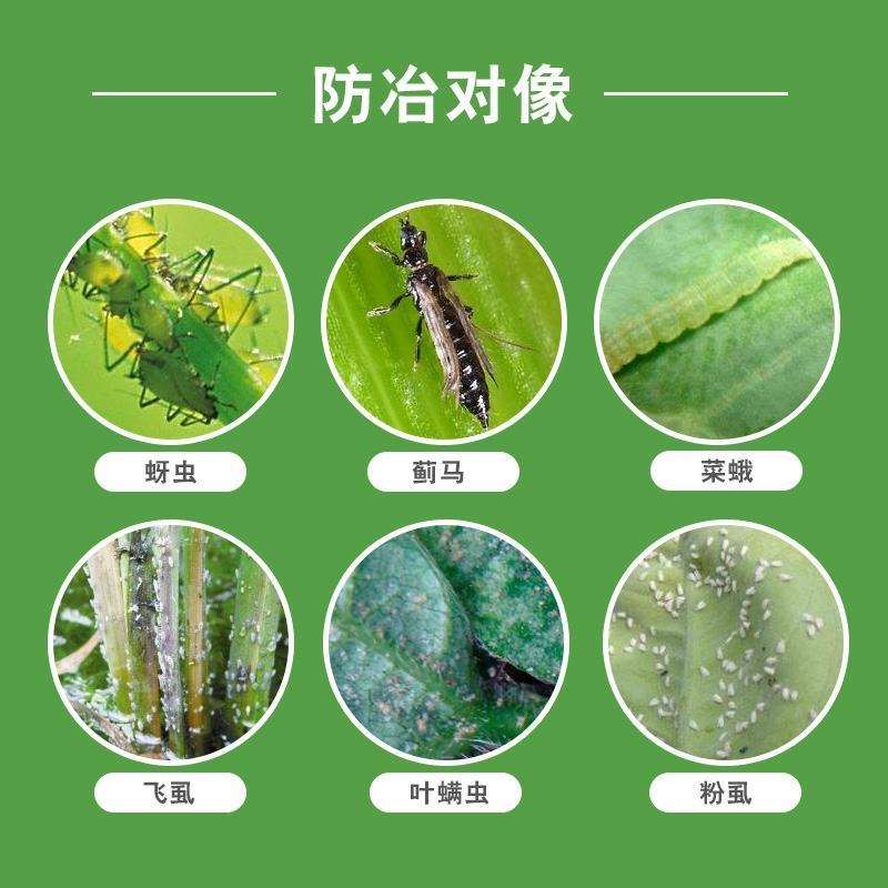 沪联爱美乐70%吡虫啉蚜虫黄条跳甲杀虫剂