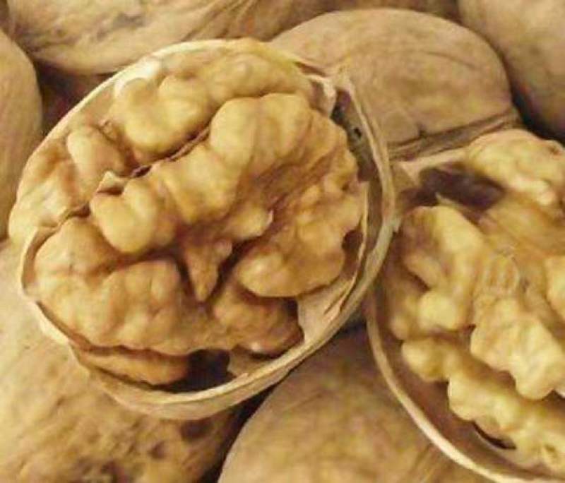 薄皮核桃，产地直销，大量供货，价格便宜质量高