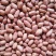 花生米，鲁花8号小白沙，产地直销，大量供货，价格便宜质量