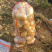 唐山黄心土豆直发，荷兰、希森系列三两起步