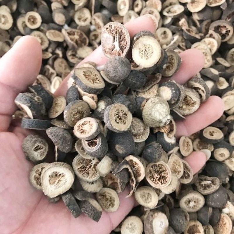 枳实枳实中药材枳实茶枳实片生枳实积实大枳