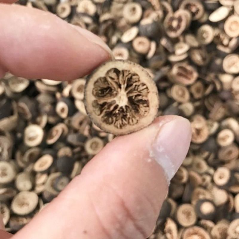 枳实枳实中药材枳实茶枳实片生枳实积实大枳