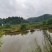 虾塘转租可做其他养殖住宿也不愁