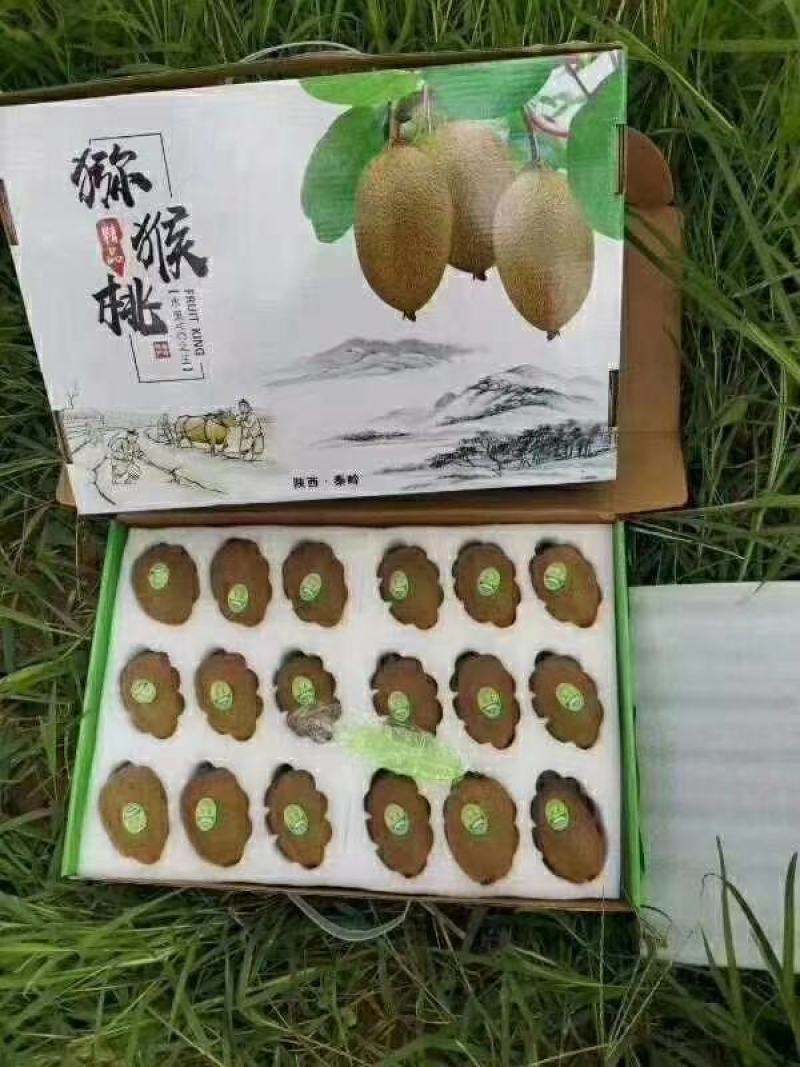 眉县是全国优质猕猴桃生产基地被称为中国猕猴桃之乡