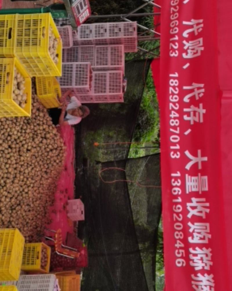 榨汁，果球，都可接，只是个量大