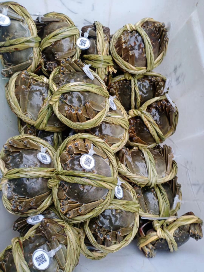 大闸蟹