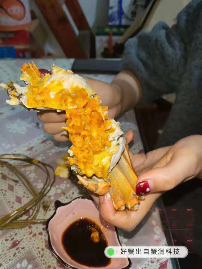 大闸蟹