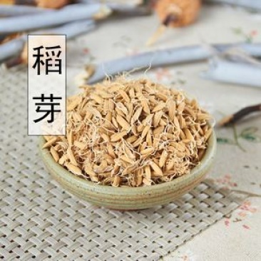 包邮2斤起卖稻芽炒稻芽供应稻谷芽