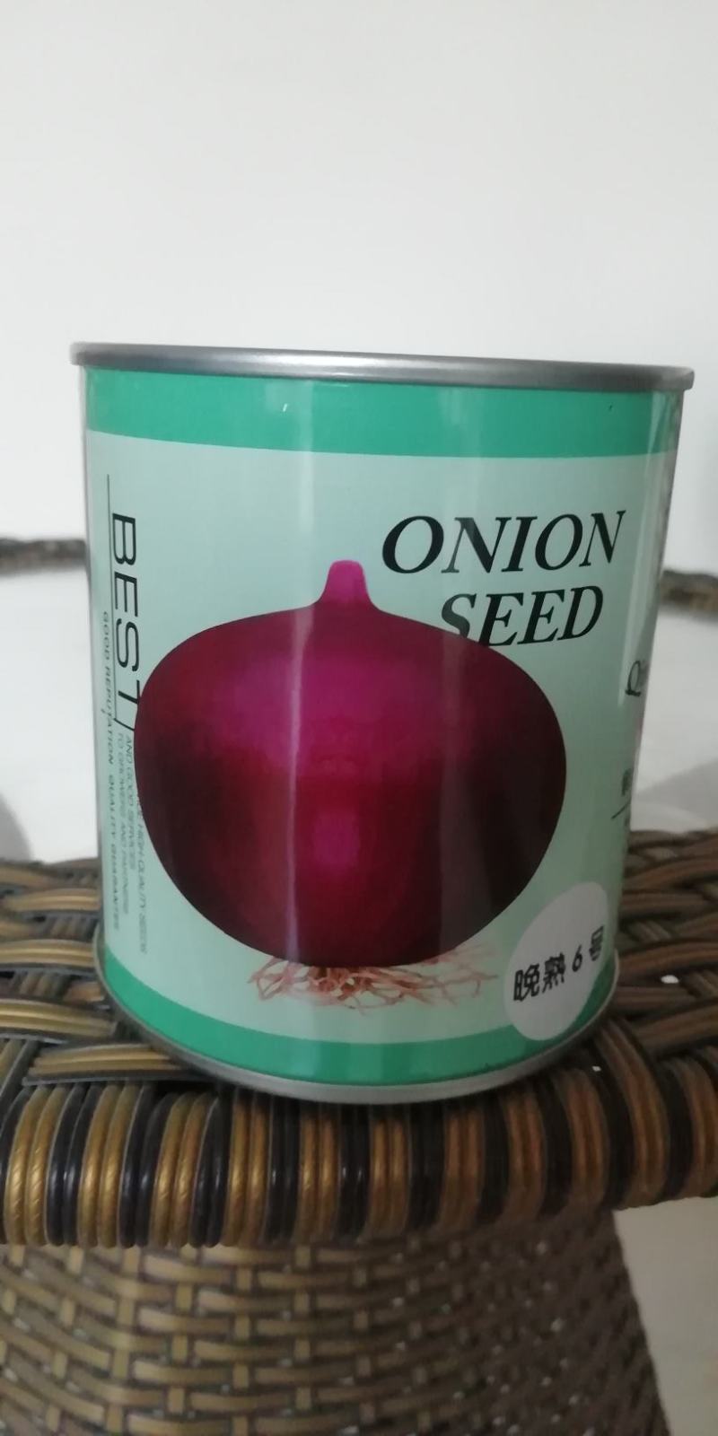 精装秦红宝早熟3号/晚熟6号紫红皮椭圆葱种子