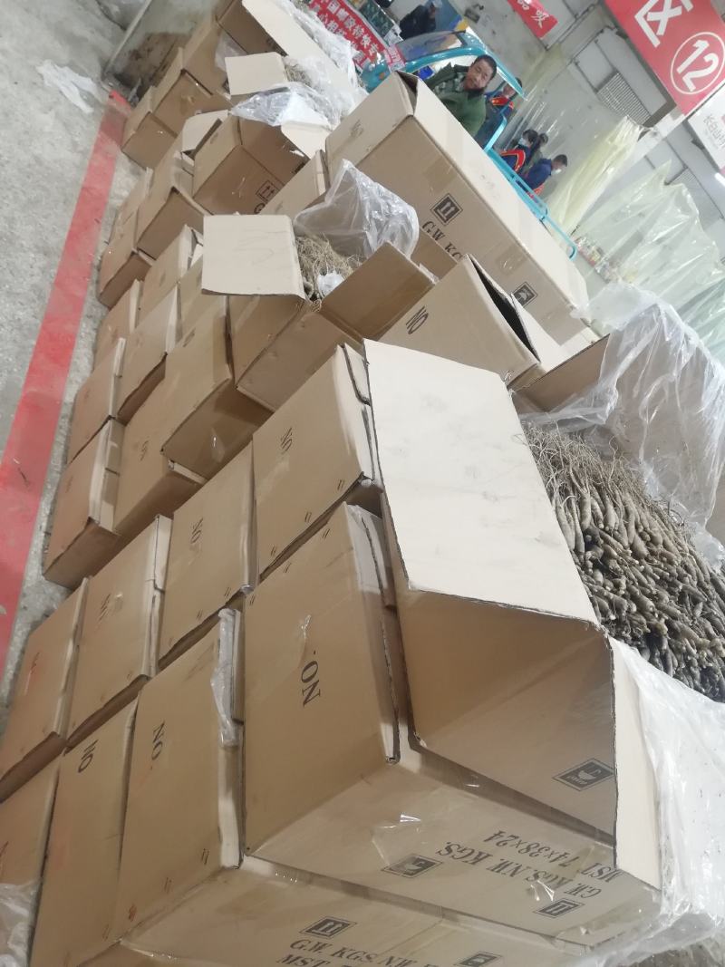 长白山地产鲜人参热卖中！自产自销一手货源