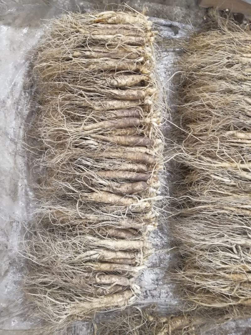 长白山地产鲜人参热卖中！自产自销一手货源