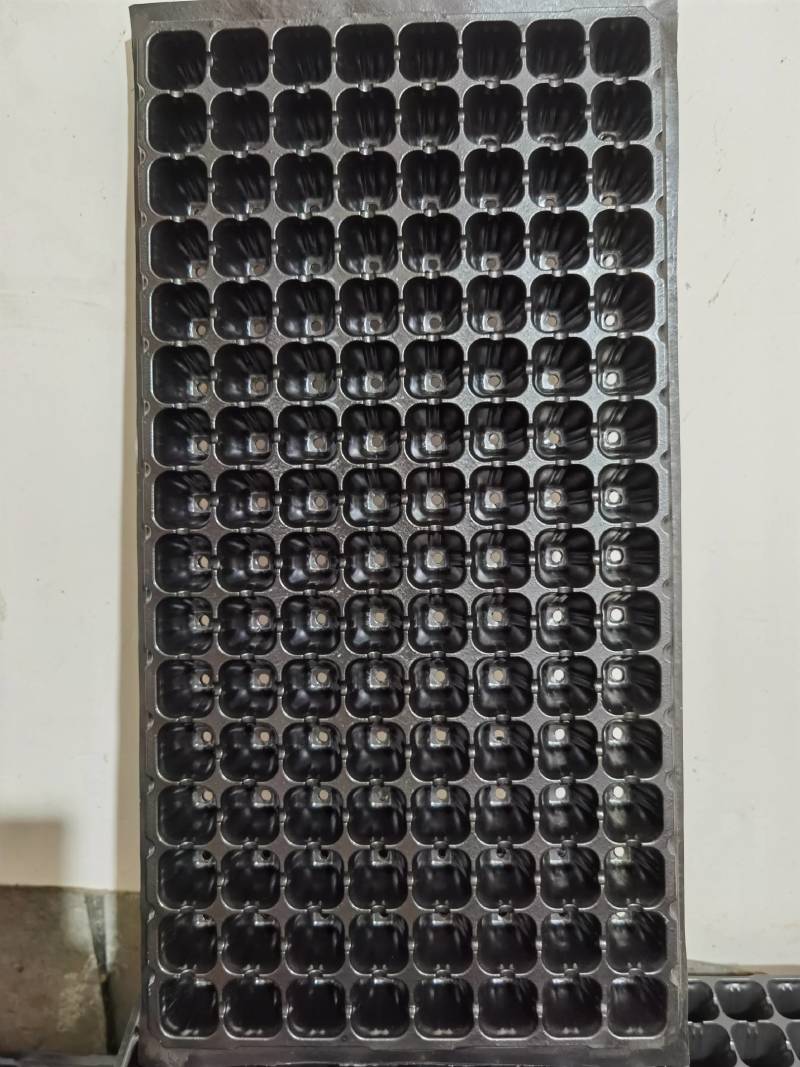 育苗盘21，32，72，98，105，128，162，等