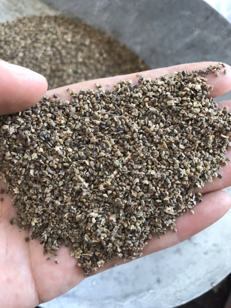 地肤子地肤籽保庆药业批发地肤籽实物拍摄！