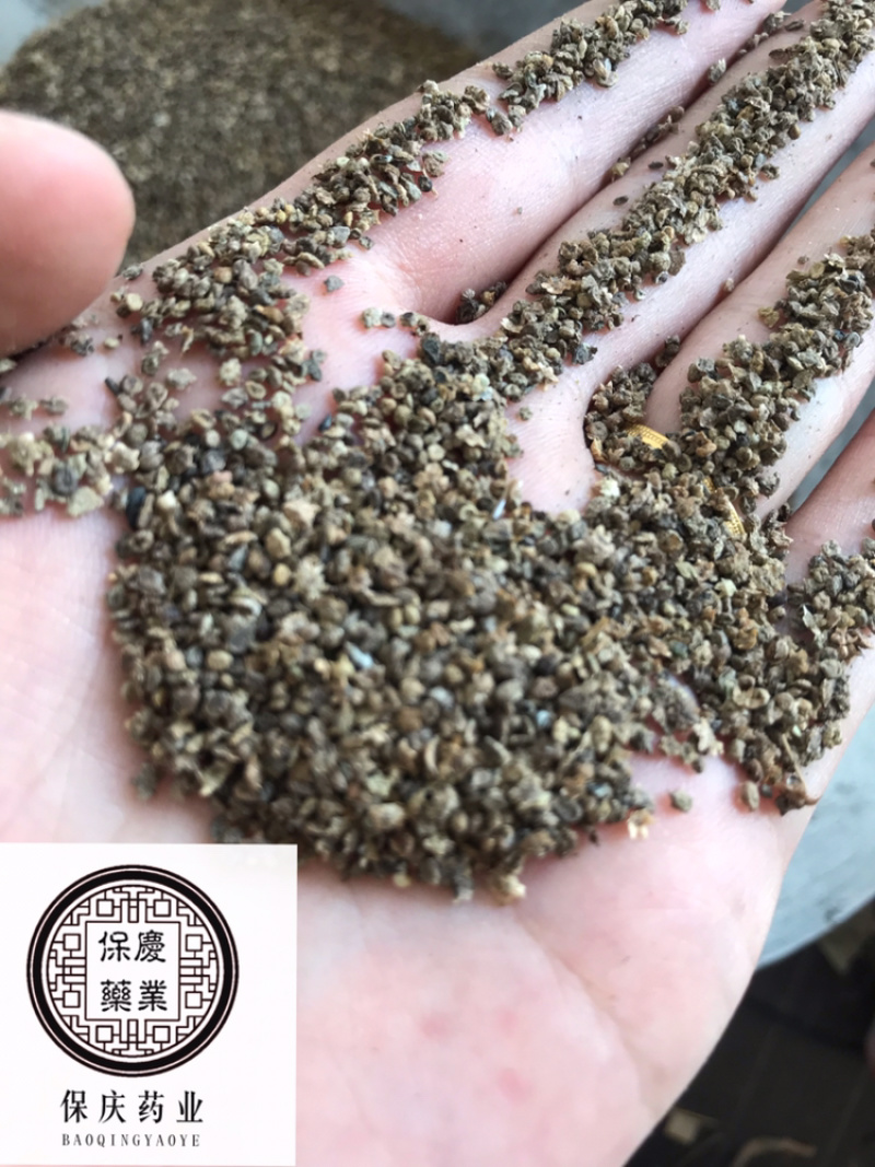 地肤子地肤籽保庆药业批发地肤籽实物拍摄！