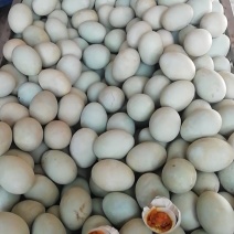 包泥咸鸭蛋，流油咸鸭蛋
