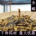全蝎全虫蝎子干货无杂质清水盐水规格齐全量大从优包邮