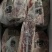 安格斯牛小排262，208来货，价格合理，上海全国发货