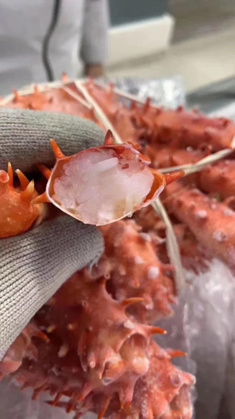 俄罗斯帝王蟹全规格，饱满度好，上海全国发货