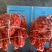 俄罗斯帝王蟹全规格，饱满度好，上海全国发货