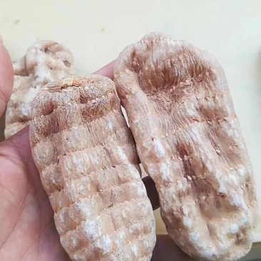 昭通天麻，丽江天麻各种规格天麻，无伤惨，无硫麻，质量保证