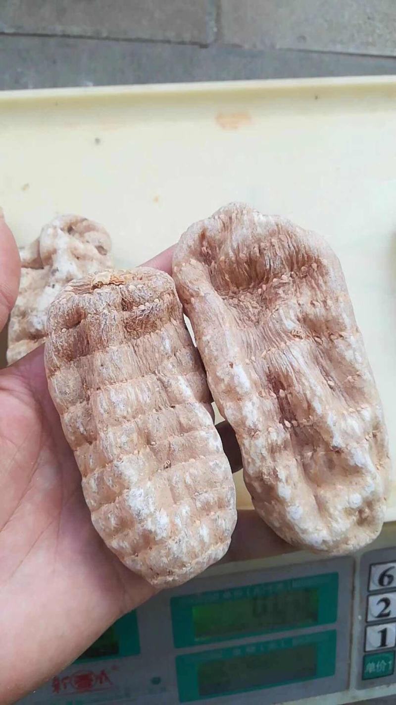 昭通天麻，丽江天麻各种规格天麻，无伤惨，无硫麻，质量保证