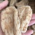 昭通天麻，丽江天麻各种规格天麻，无伤惨，无硫麻，质量保证