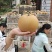 【实力供货】湖北晚秋黄梨个头大口感甜供应全国市场
