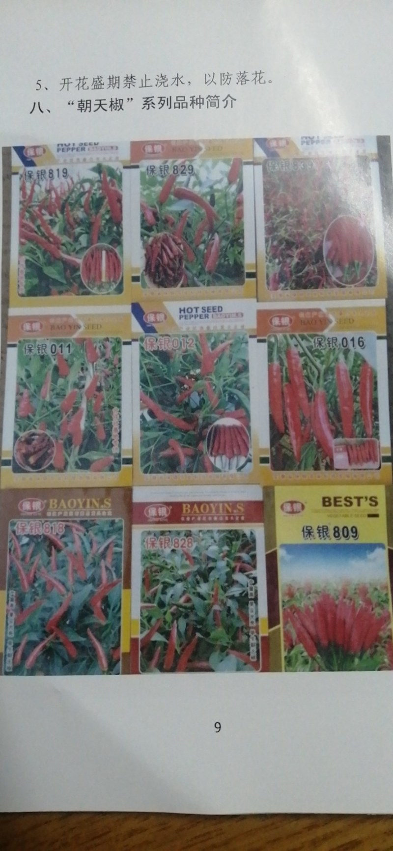 干红辣椒（基地直供，新优品种）