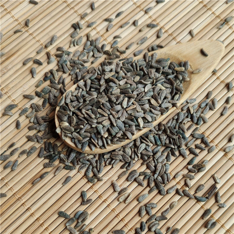 牛蒡子一手货源产地直销