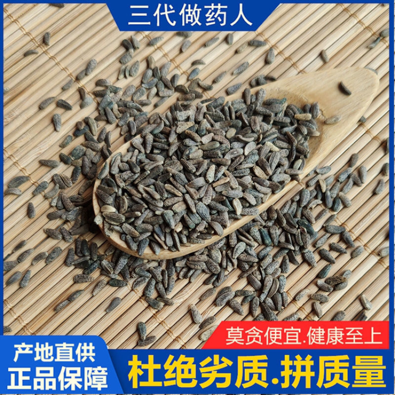 牛蒡子一手货源产地直销