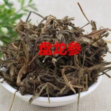 盘龙参一手货源产地直销