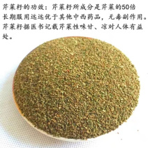 芹菜子一手货源产地直销