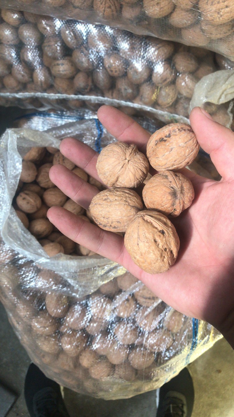 薄皮核桃，产地直销大量供货，价格便宜质量高