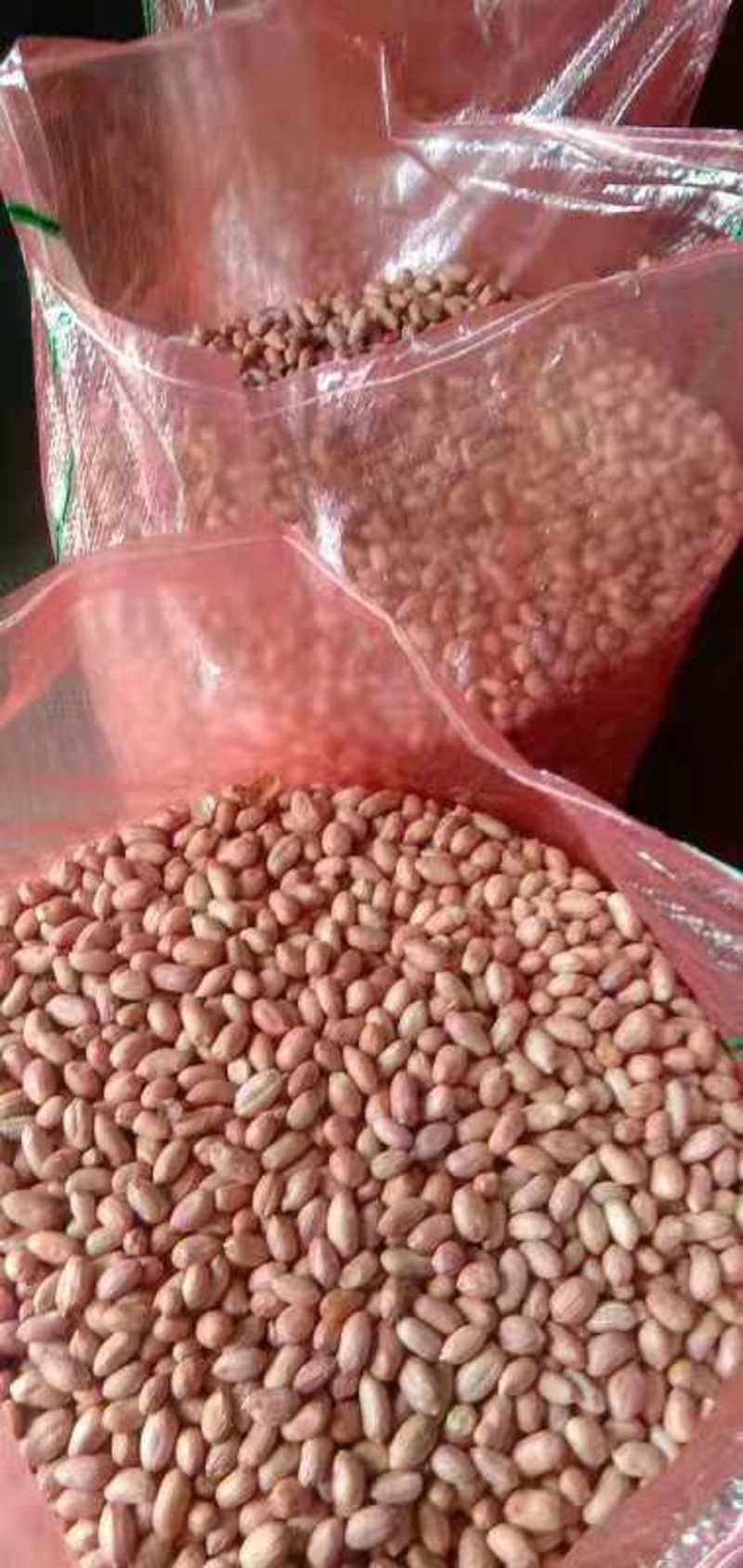 花生米，鲁花8号小白沙，产地直销大量供货，价格便宜