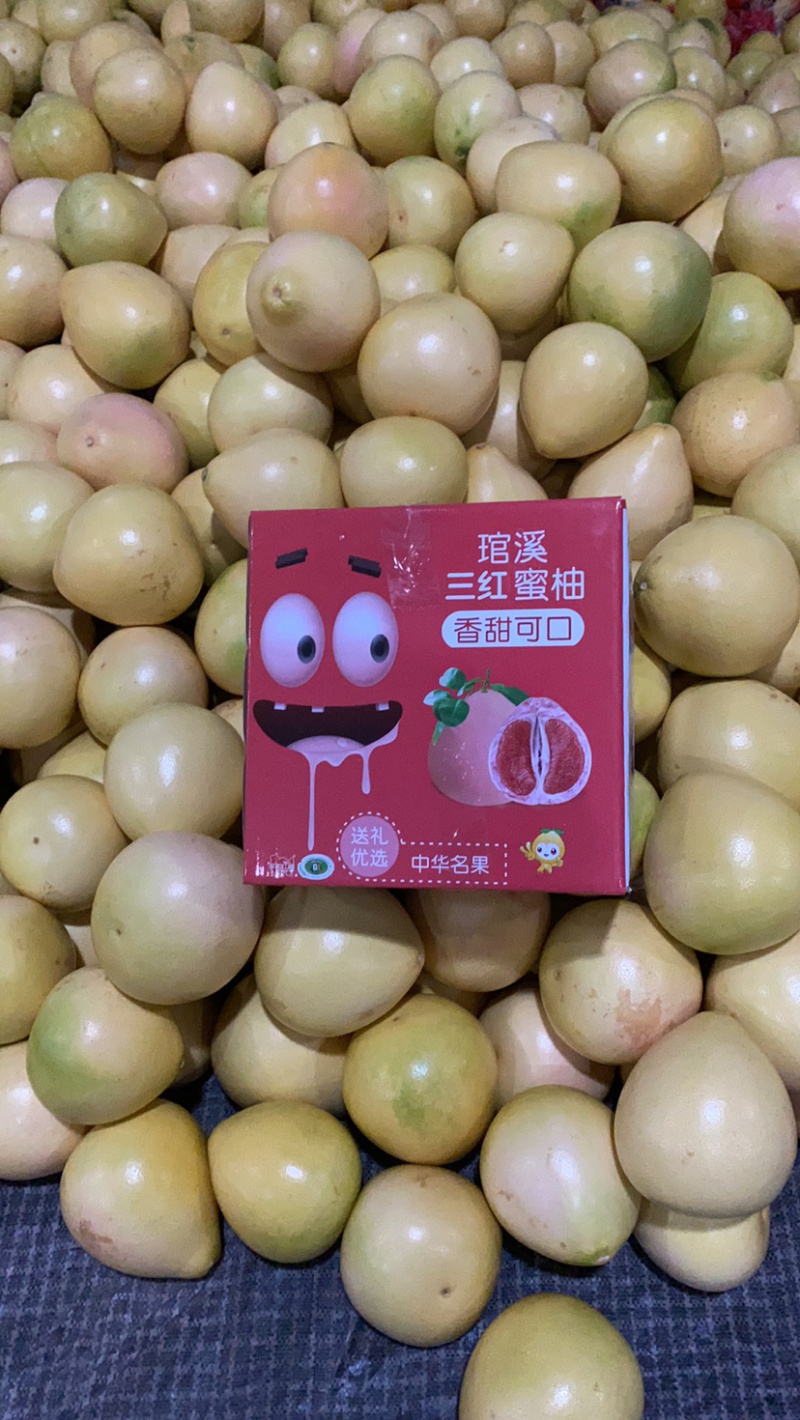 平和县红柚，三红，老树柚，超市，电商，大量供货精美礼盒装