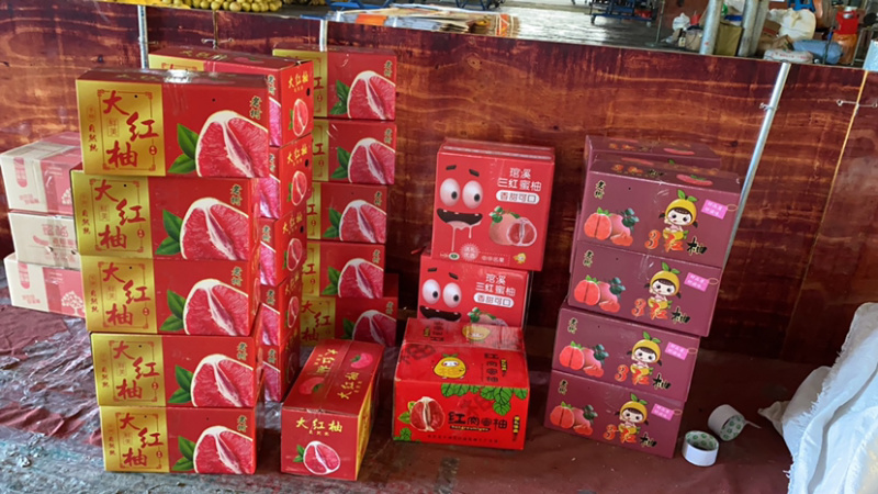平和县红柚，三红，老树柚，超市，电商，大量供货精美礼盒装