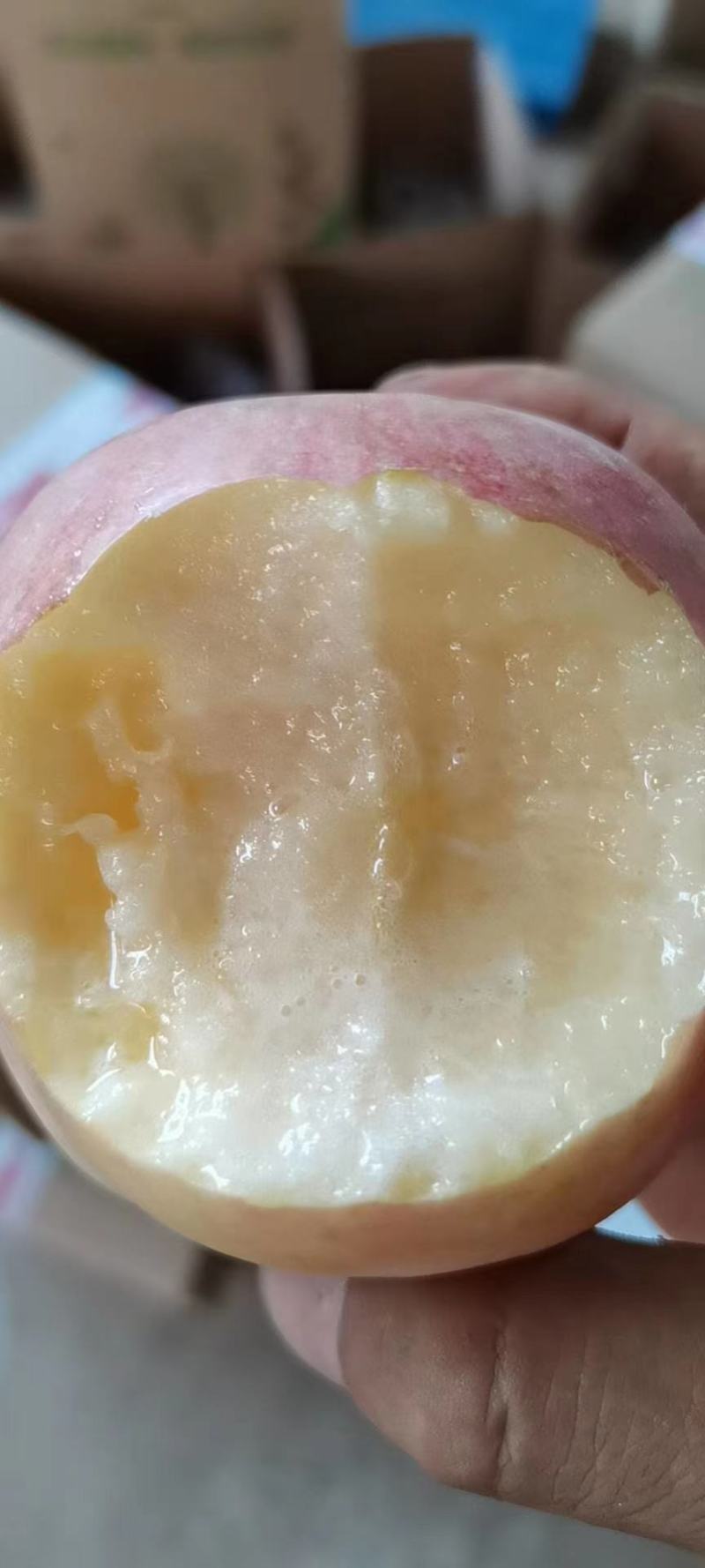 陕西特产富士王苹果,口感甜脆,可带皮吃,一件代发快递发货