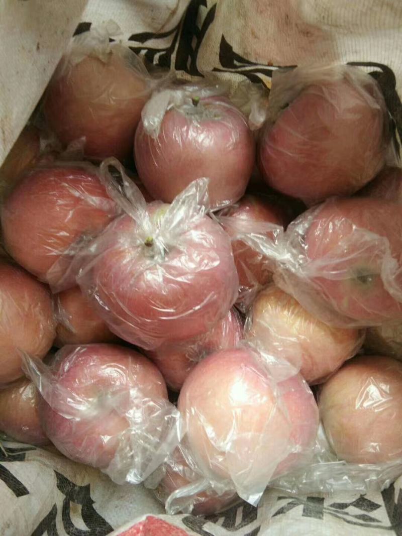 中秋钜惠陕西特产富士王苹果,口感甜脆,可带皮吃,