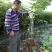 无花果树苗南北方四季庭院无花果种植无花果苗盆栽当年结果