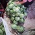 本地甘蓝大量现货价格美丽